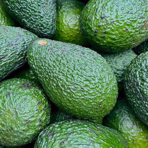 Avocado Hass