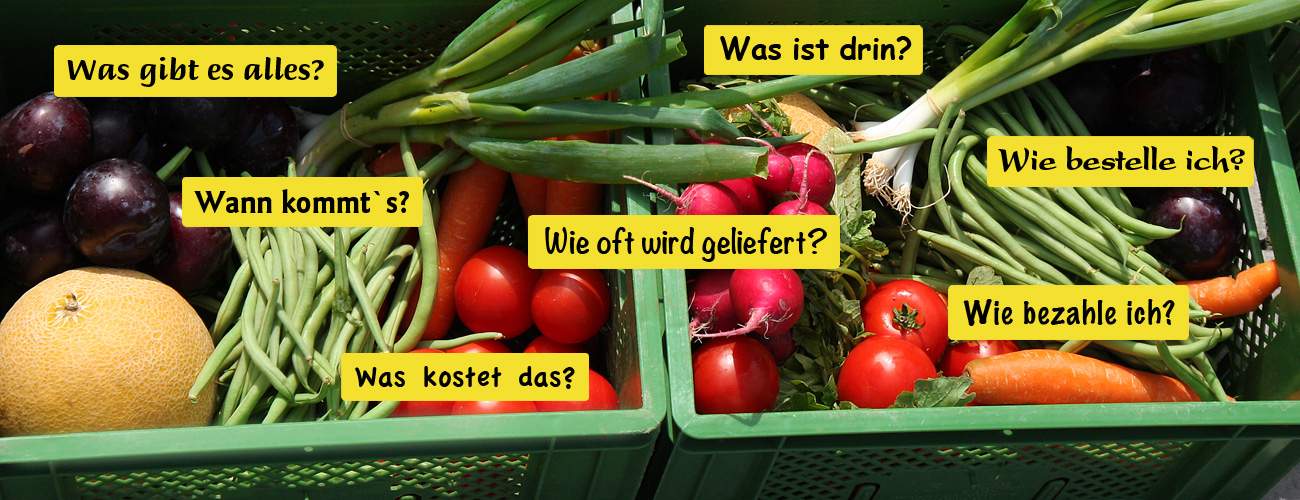 dirksbiokiste-haeufige-fragen.jpg