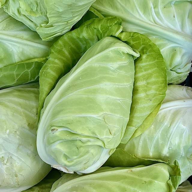 Spitzkohl