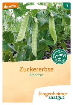 Zuckererbse Ambrosia (Saatgut)