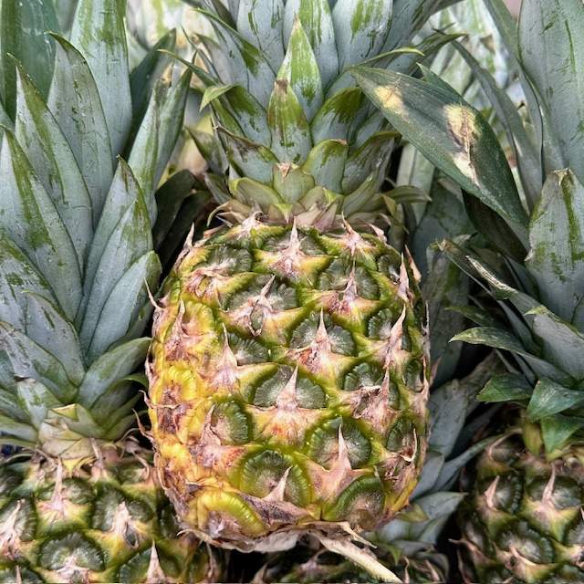 Ananas