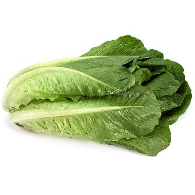 Romana (Römersalat)