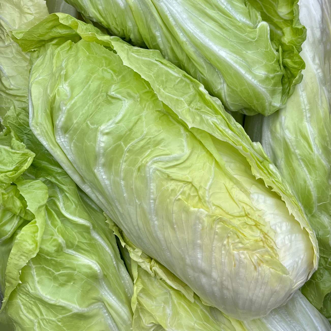 Zuckerhut Salat