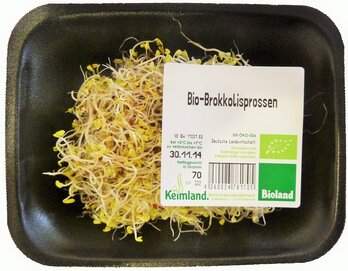 Broccolisprossen