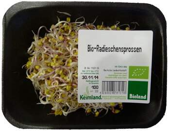 Radieschensprossen