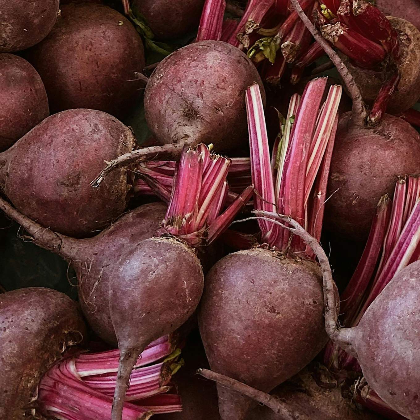 Rote Bete