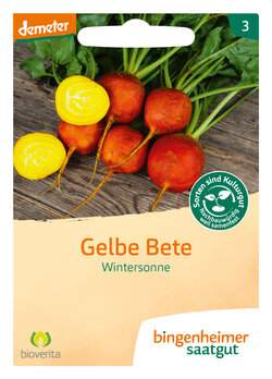 Gelbe Bete Wintersonne (Saatgut)