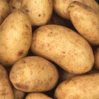 Frühkartoffeln fk 1 kg (Annabelle)