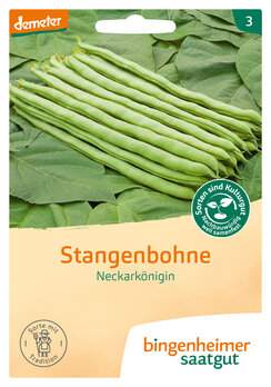 Stangenbohne Neckarkönigin (Saatgut)