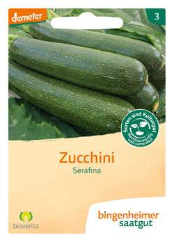 Zucchini Serafina (Saatgut)