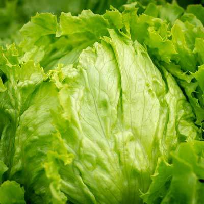 Eissalat