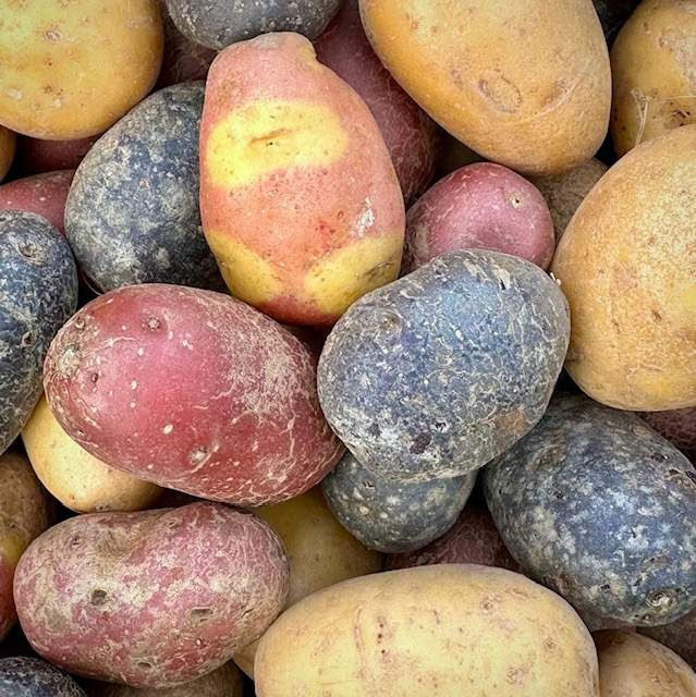 Gourmetkartoffeln Bunte Vielfalt