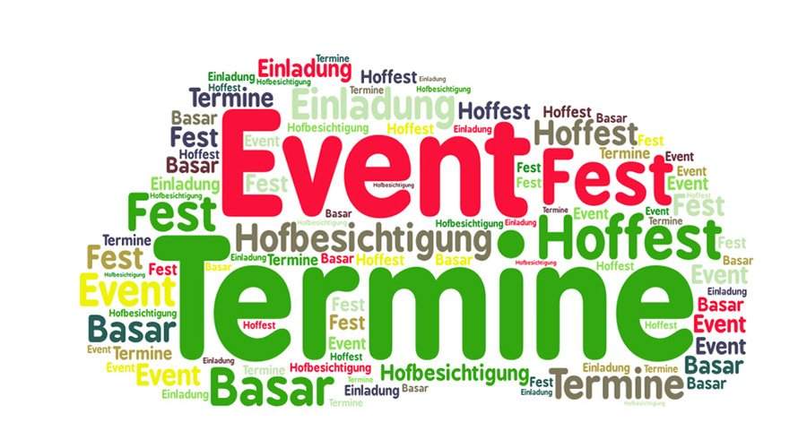 dbk-termine-wordle.jpg