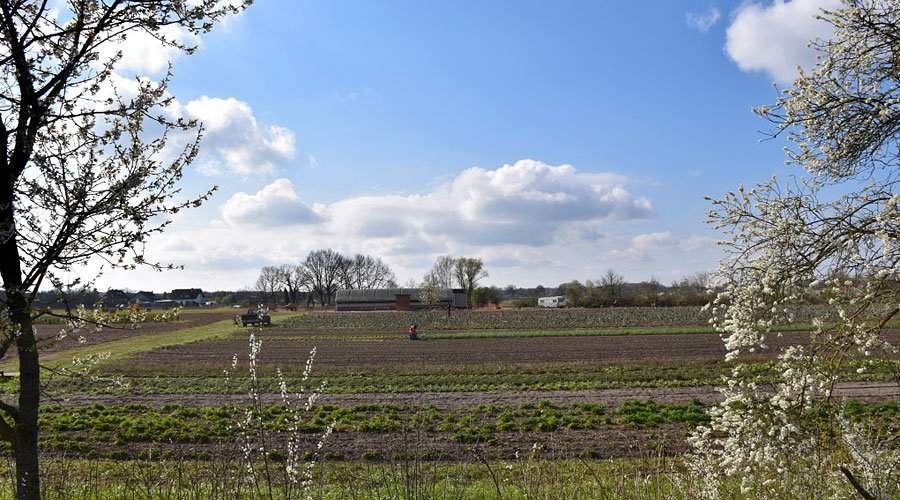 dbk-oekokistenreise-tour-de-heide-1.jpg