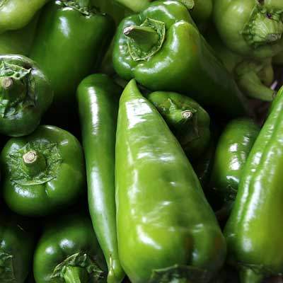 Paprika grün spitz