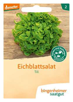 Eichblattsalat (Saatgut)