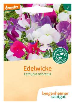 Edelwicke (Saatgut)