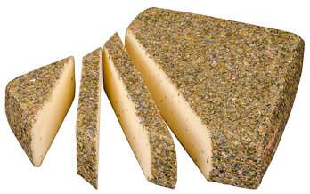 Gute Laune Käse