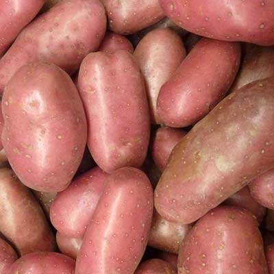 Kartoffeln rotschalig vfk 1 kg (Rosara)