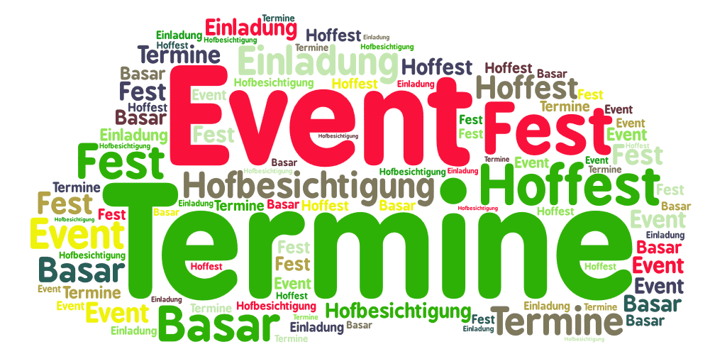 dbk-termine-worrdle.png