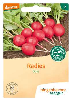 Radieschen Sora (Saatgut)