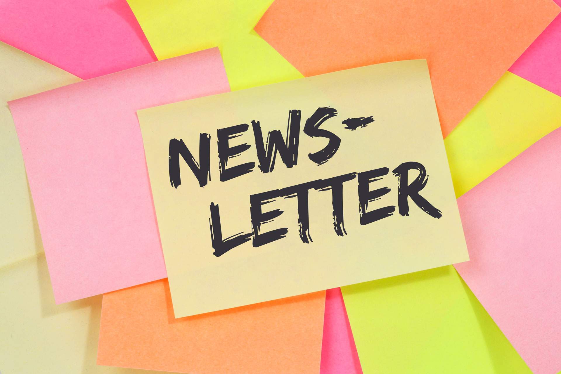 dirks-bio-kiste-slider-newsletter-l.jpg