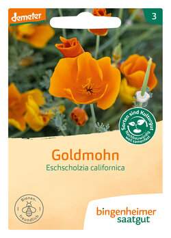 Goldmohn Blumen (Saatgut)