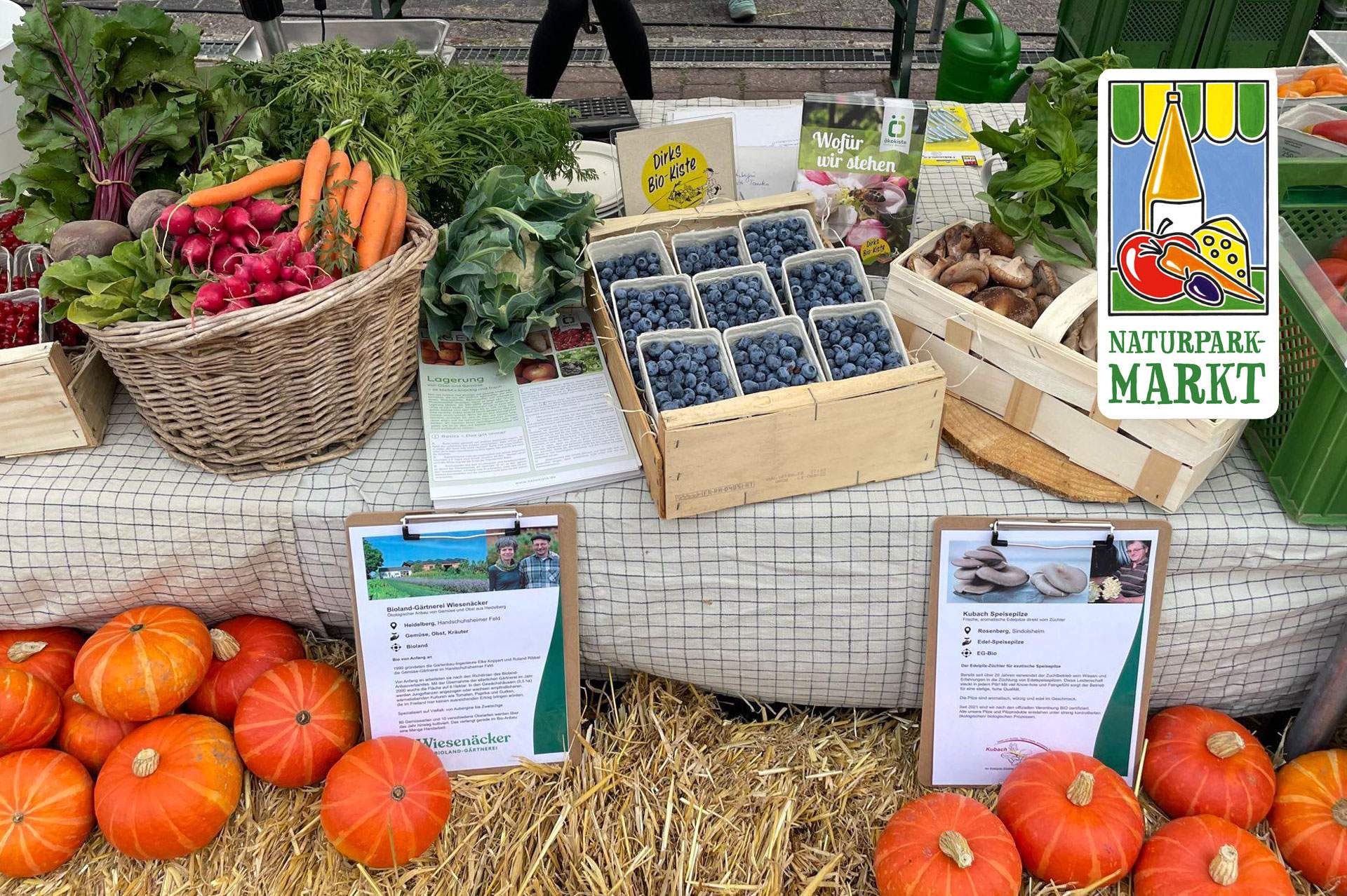 dirks-bio-kiste-slider-naturparkmarkt-neckargemuend-2.jpg