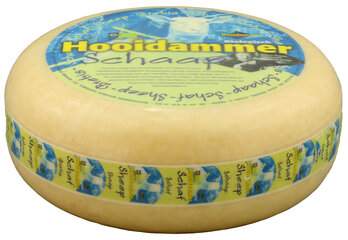 Schafgouda jung