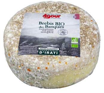 Brebis des Basques