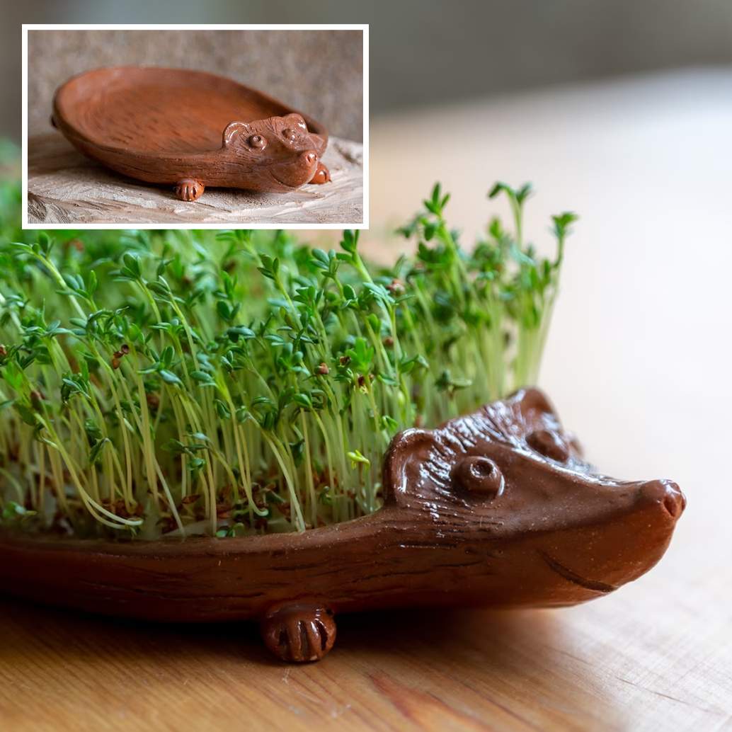 Kresse Igel Aussaatschale aus Keramik