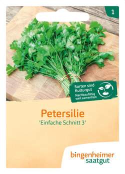 Glatte Petersilie (Saatgut)