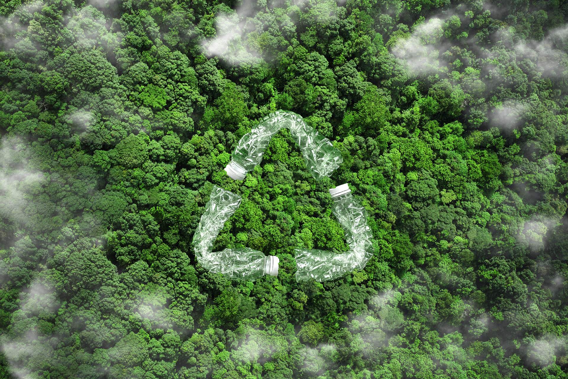 dirks-bio-kiste-blog-plastikfrei-in-die-zukunft.jpg