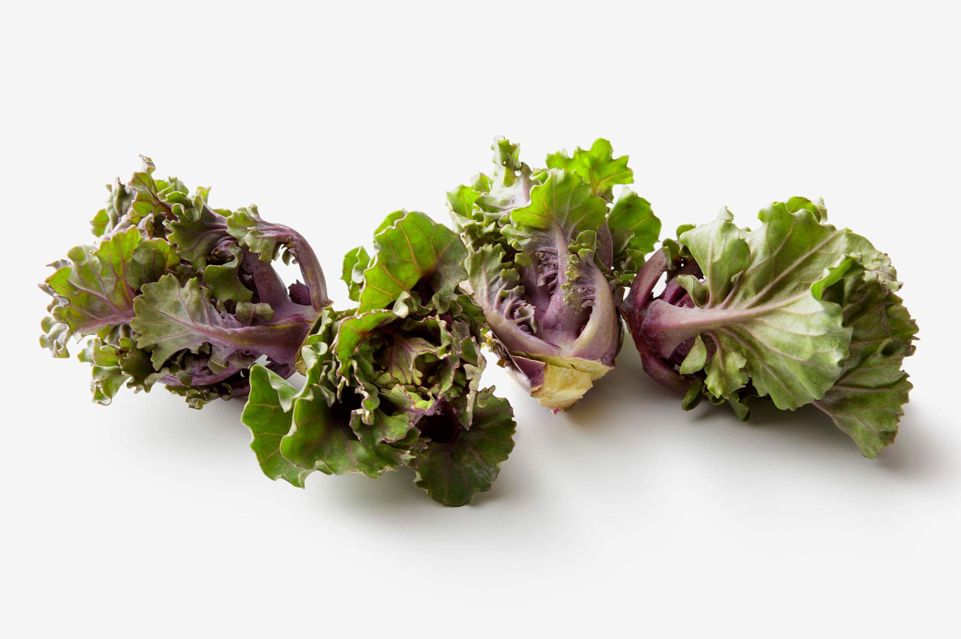 dirks-bio-kiste-slider-flower-sprout-roeschen-l.jpg