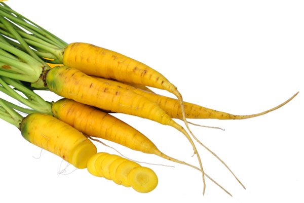 Alles über gelbe Rüben