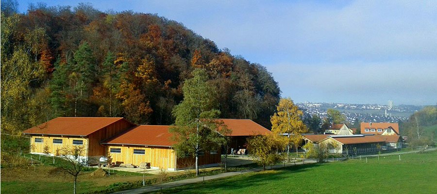 Talhof